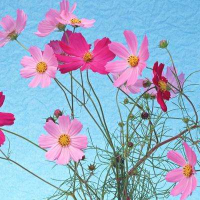 leyu·乐鱼下载手机版